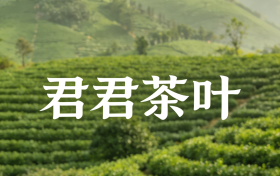 春茶飘香践初心 助农兴业显担当——君君茶叶2025年助农惠农与行业发展贡献纪实