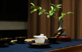 探寻古老茶文化的新光芒：茶来敬，带动健康茶饮新潮流